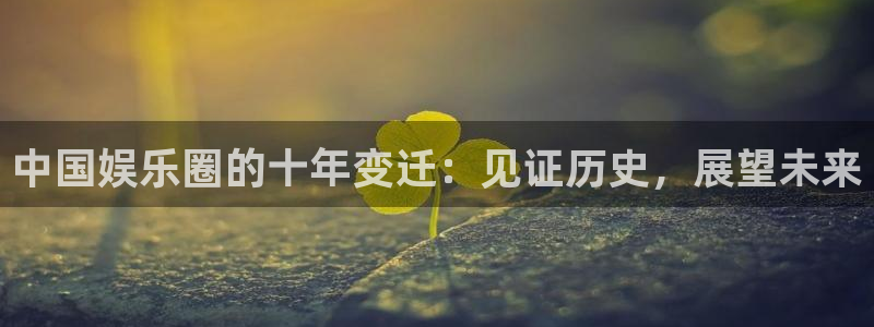 NG大舞台：中国娱乐圈的十年变迁：见证历史，展望未来