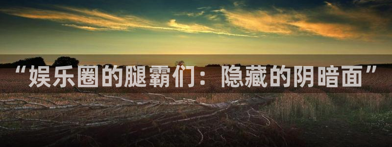 南宫大舞台官网入口：“娱乐圈的腿霸们：隐藏的阴暗面”
