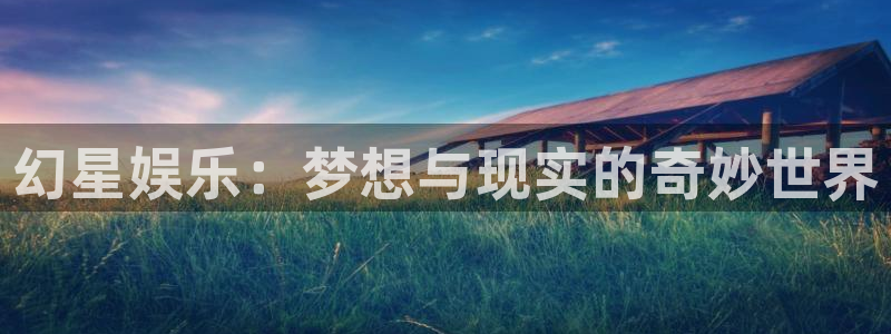 NG大舞台：幻星娱乐：梦想与现实的奇妙世界