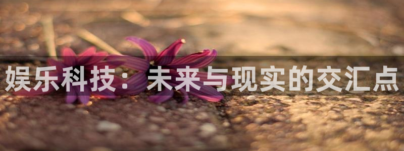 南宫大舞台：娱乐科技：未来与现实的交汇点
