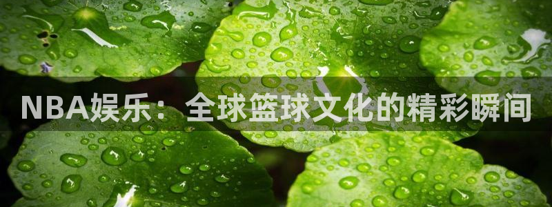南宫大舞台：NBA娱乐：全球篮球文化的精彩瞬间