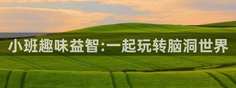 NG大舞台：小班趣味益智:一起玩转脑洞世界