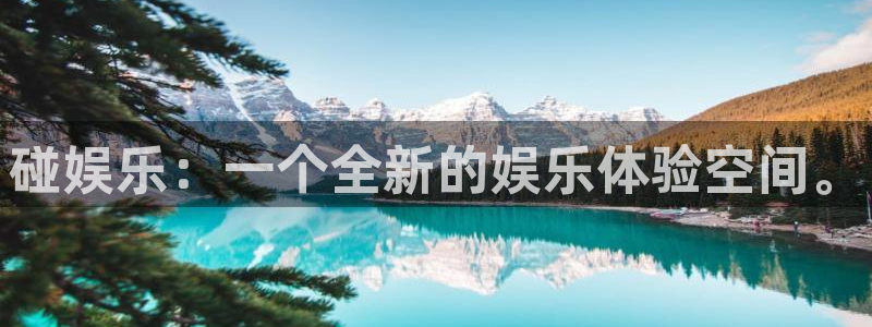 南宫大舞台官网入口：碰娱乐：一个全新的娱乐体验空间。