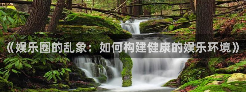NG大舞台：《娱乐圈的乱象：如何构建健康的娱乐环境》