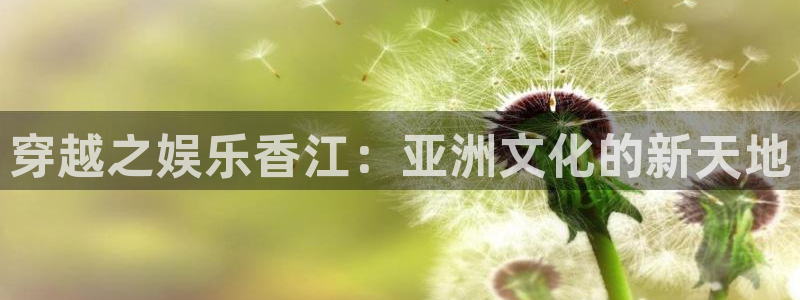 南宫大舞台官网入口：穿越之娱乐香江：亚洲文化的新天地