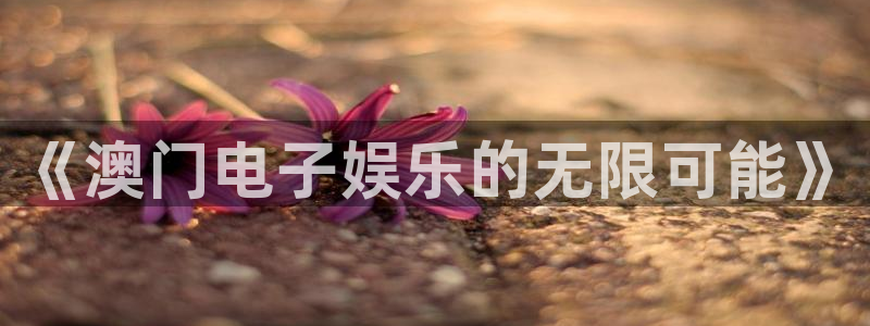 NG大舞台：《澳门电子娱乐的无限可能》