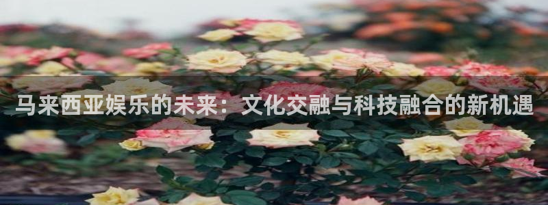 NG大舞台：马来西亚娱乐的未来：文化交融与科技融合的新机遇